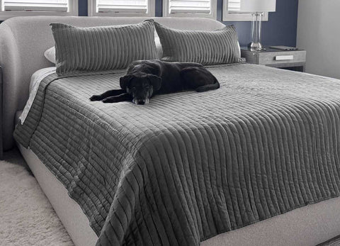 Arctic Quilt Set in charcoal on bed in bedroom environment with black dog on bed.#choose-your-color_charcoal